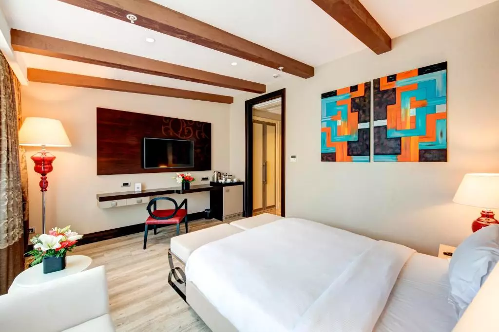 اتاق The Elysium Istanbul